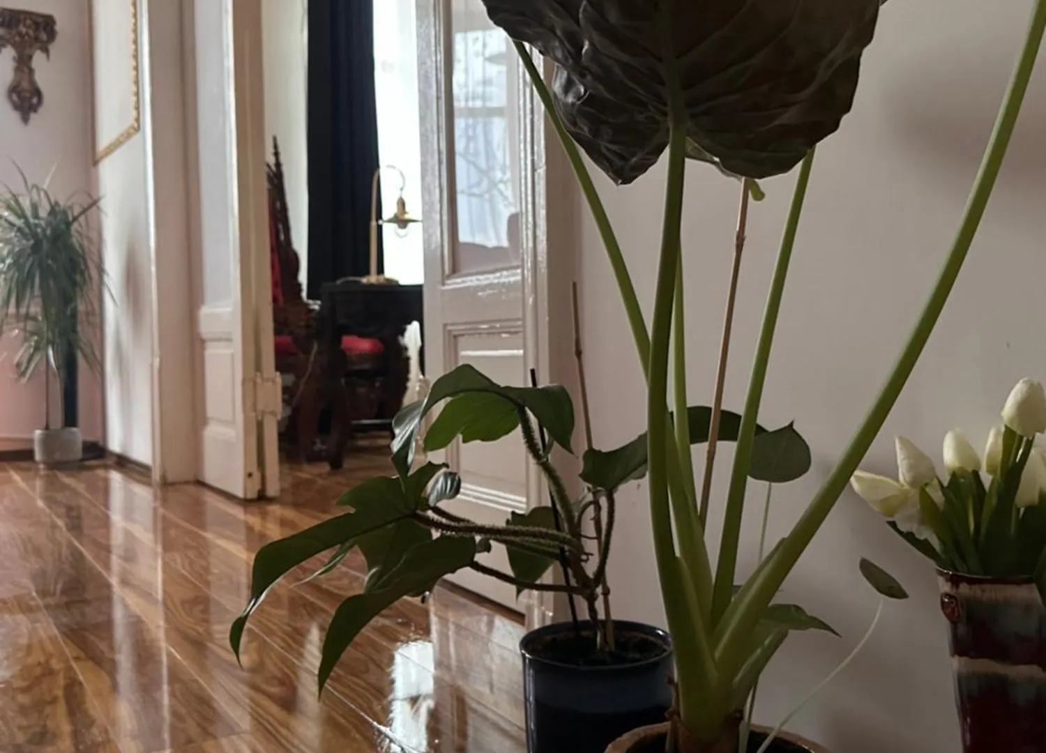 Exclusive Apartment Chmielna Street 95M2 Varsóvia