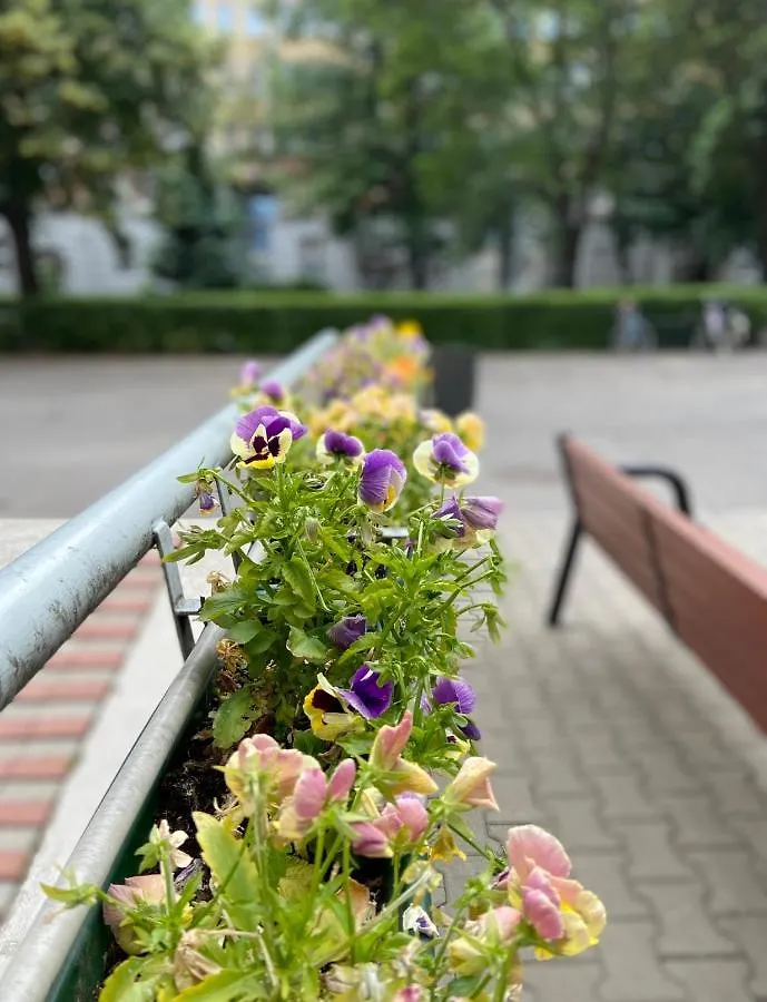 Exclusive Apartment Chmielna Street 95M2 바르샤바 0*,  폴란드